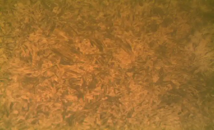 �ػ��R���w